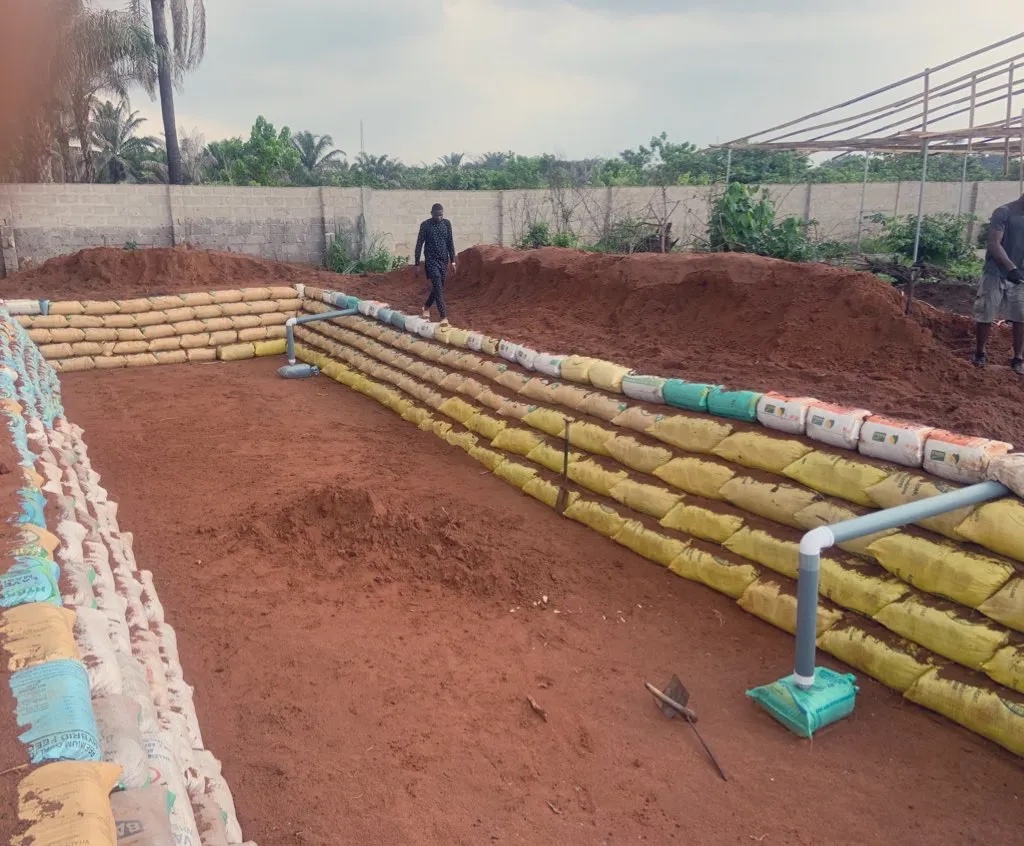 Catfish Farming in Nigeria Importance of Passion