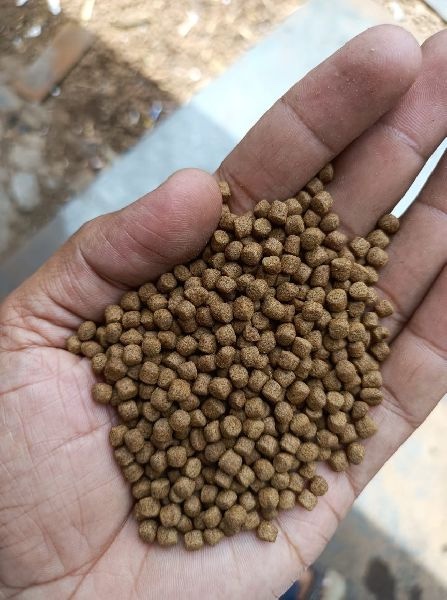 Fish Feed Quality locally made